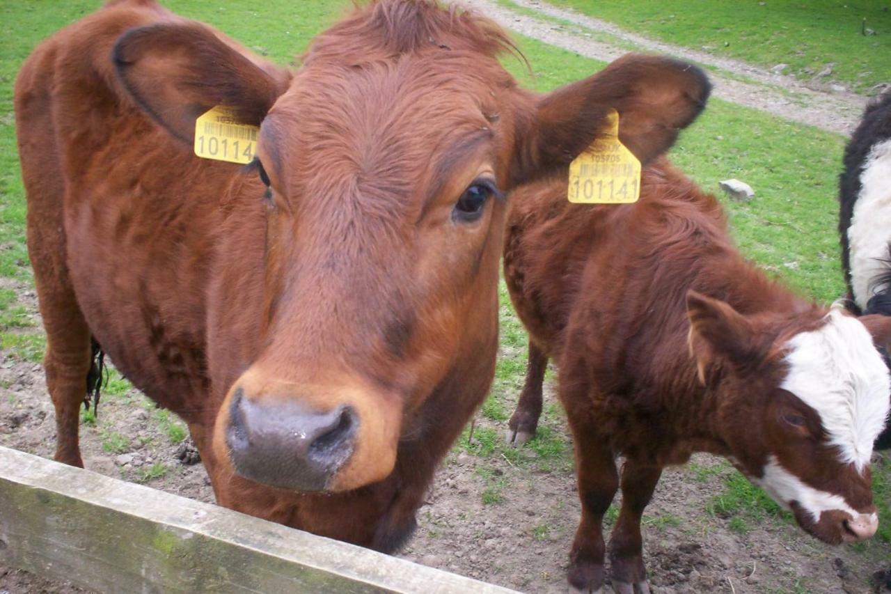 Ullathorns Farm Βίλα Kirkby Lonsdale Εξωτερικό φωτογραφία