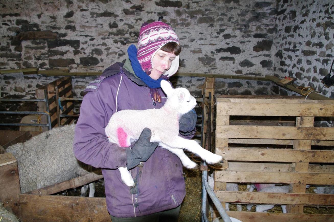 Ullathorns Farm Βίλα Kirkby Lonsdale Εξωτερικό φωτογραφία