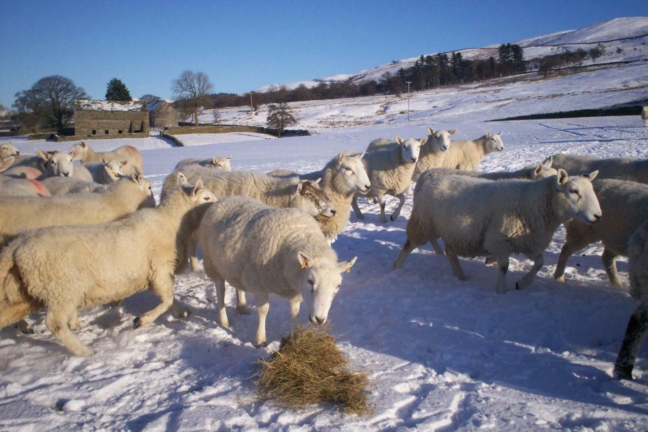 Ullathorns Farm Βίλα Kirkby Lonsdale Εξωτερικό φωτογραφία